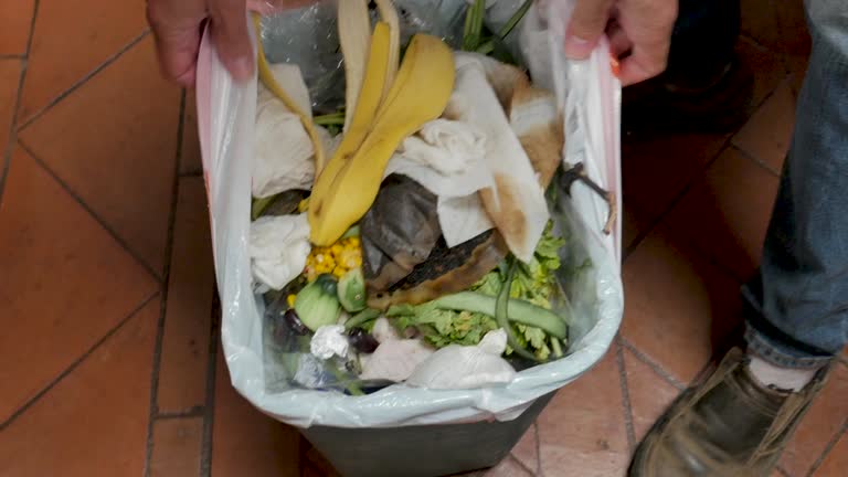 Best Recycling Services for Junk  in Woodstock, AL